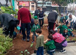Alimentação escolar: projetos brasileiros são exemplo de boas práticas