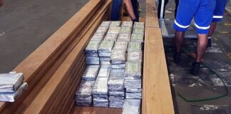 PF mira quadrilha que enviava cocaína ao exterior em carga de madeira