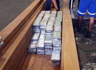 PF mira quadrilha que enviava cocaína ao exterior em carga de madeira