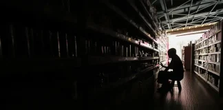 Brasil teve 47 mil quedas de luz causadas por incêndios em 2023