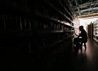 Brasil teve 47 mil quedas de luz causadas por incêndios em 2023