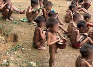 MPF diz que situação dos yanomami foi causada por omissão do Estado