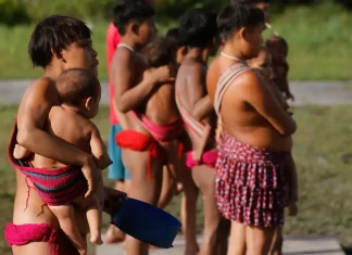 Cimi: políticas públicas ainda não frearam violência contra indígenas