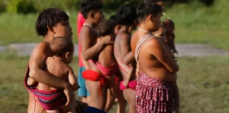União tem 30 dias para apresentar plano contra garimpo em TI Yanomami